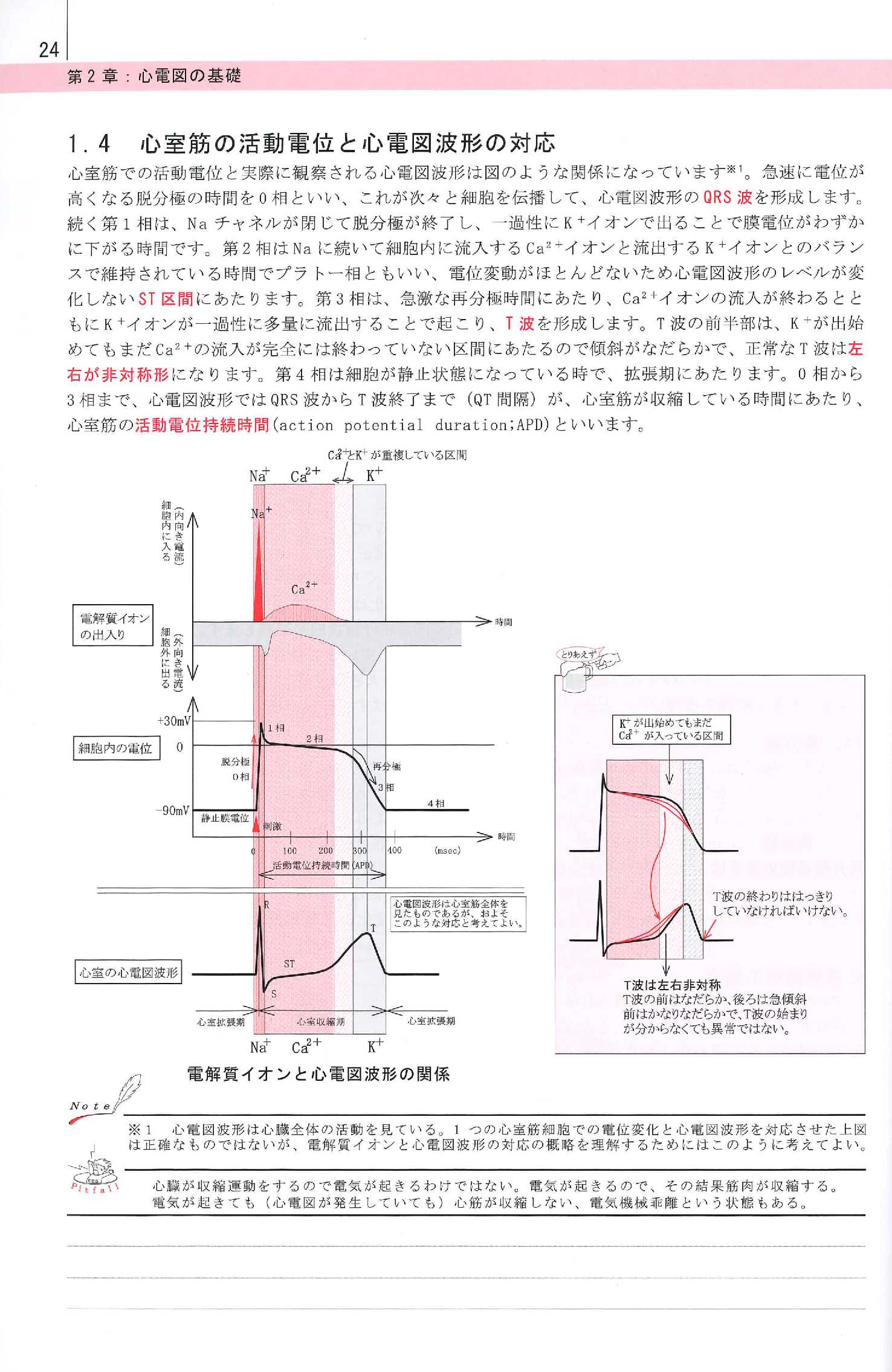 心電図のこころ