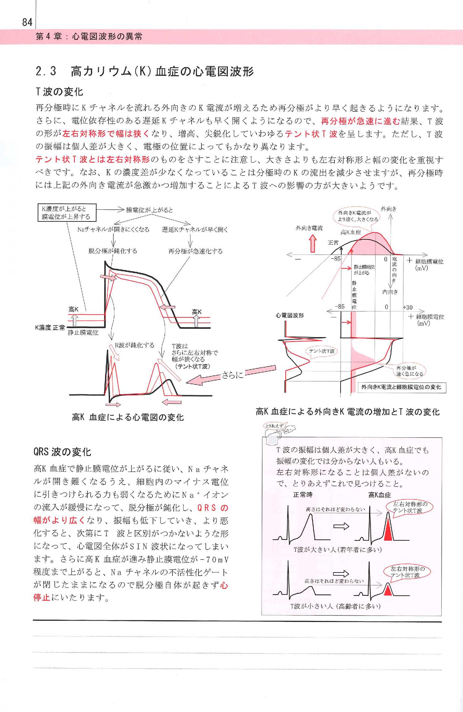 心電図のこころ