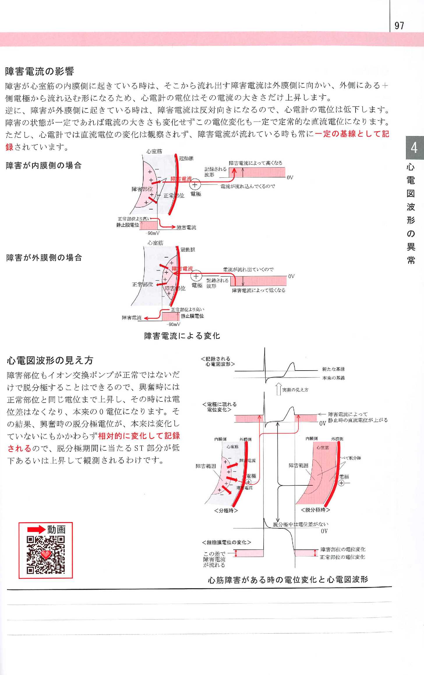 心電図のこころ